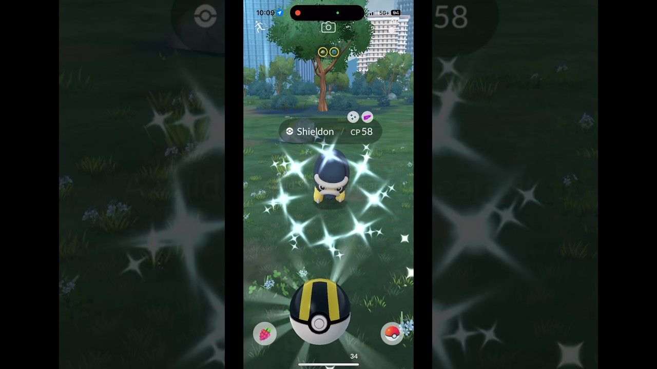 Shieldon Shiny 