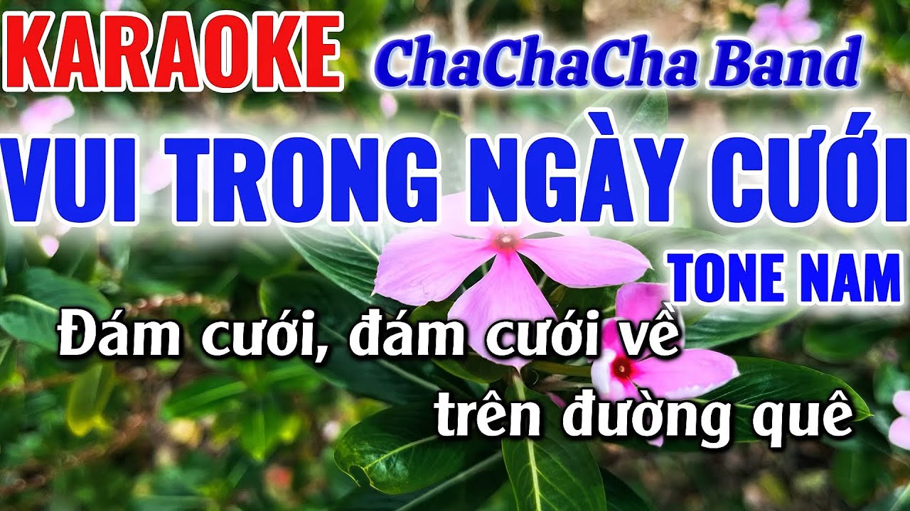 Karaoke Vui Trong Ngày Cưới Tone Nam ChaChaCha Nhạc Sống 2026 Cực Hay|Karaoke Huy Phát