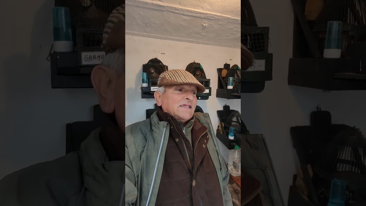 Cómo cazo mis pájaros para que me duren toda una vida.