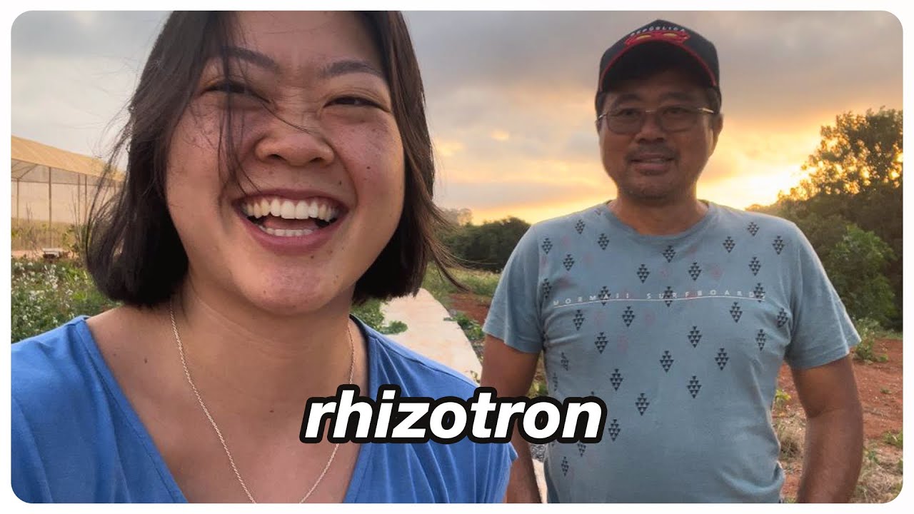 VROG 186: RHIZOTRON