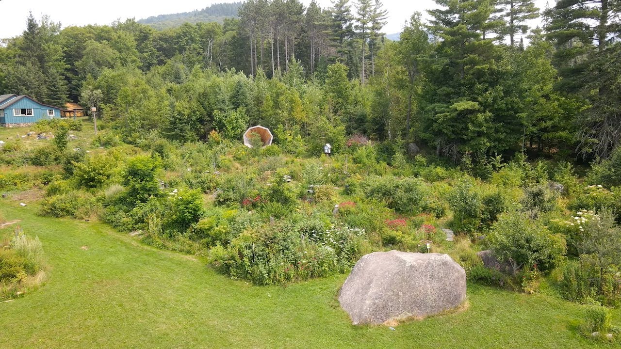 Summer Drought in the Forest Garden