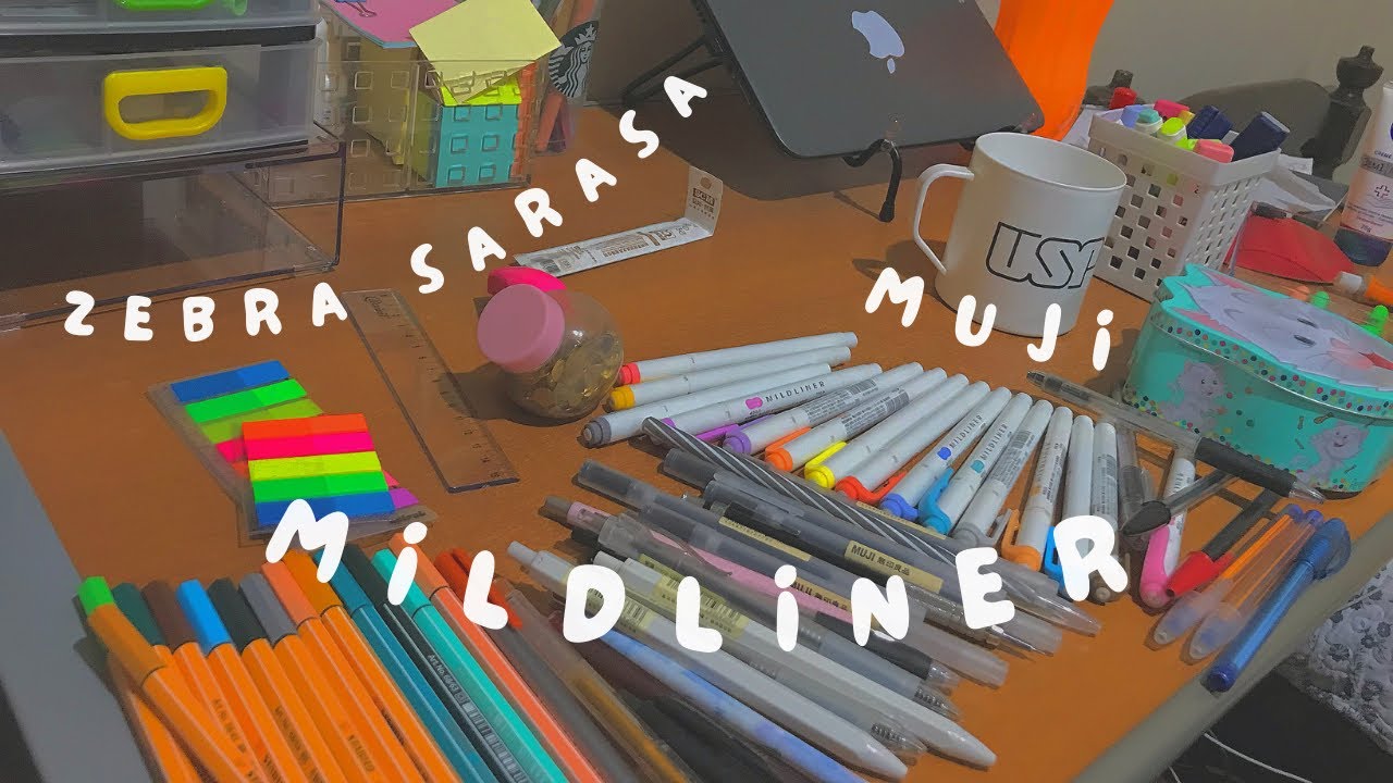 tour pelas minhas canetas: muji, mildliner, zebra sarasa
