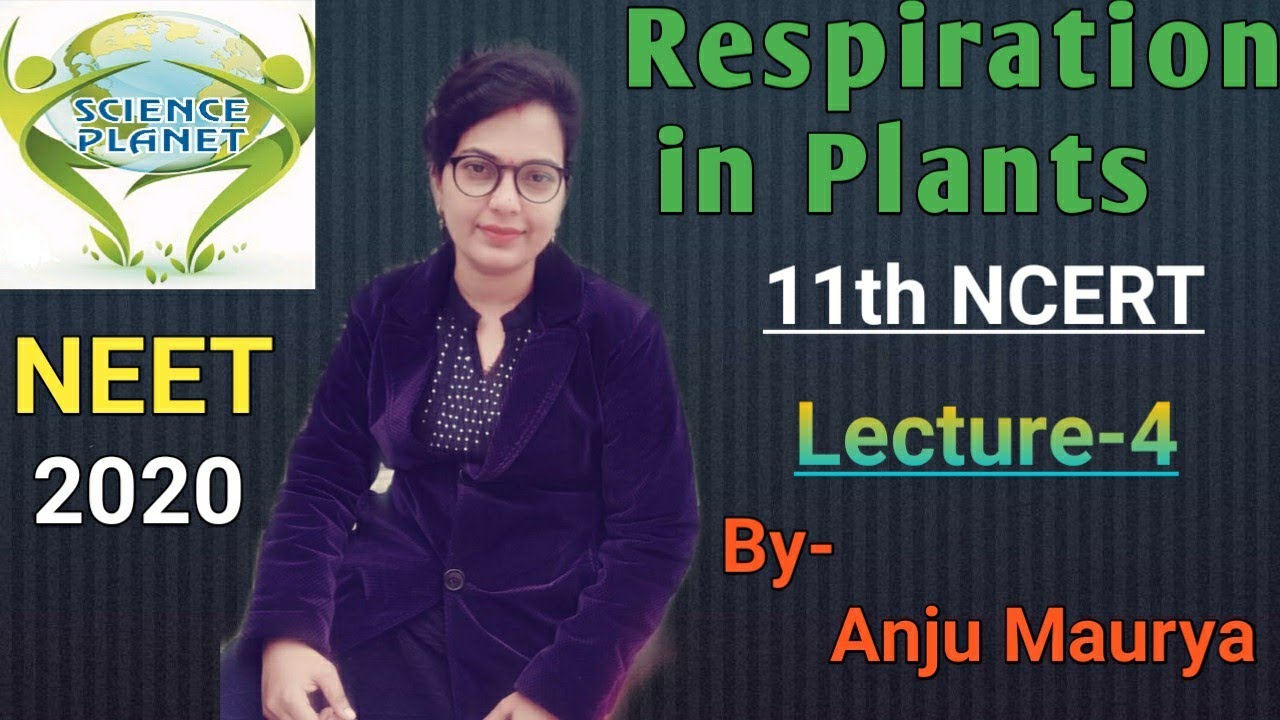 NCERT Revision! Respiration in Plants!NEET 2020! Lecture- 4! By-Anju Maurya