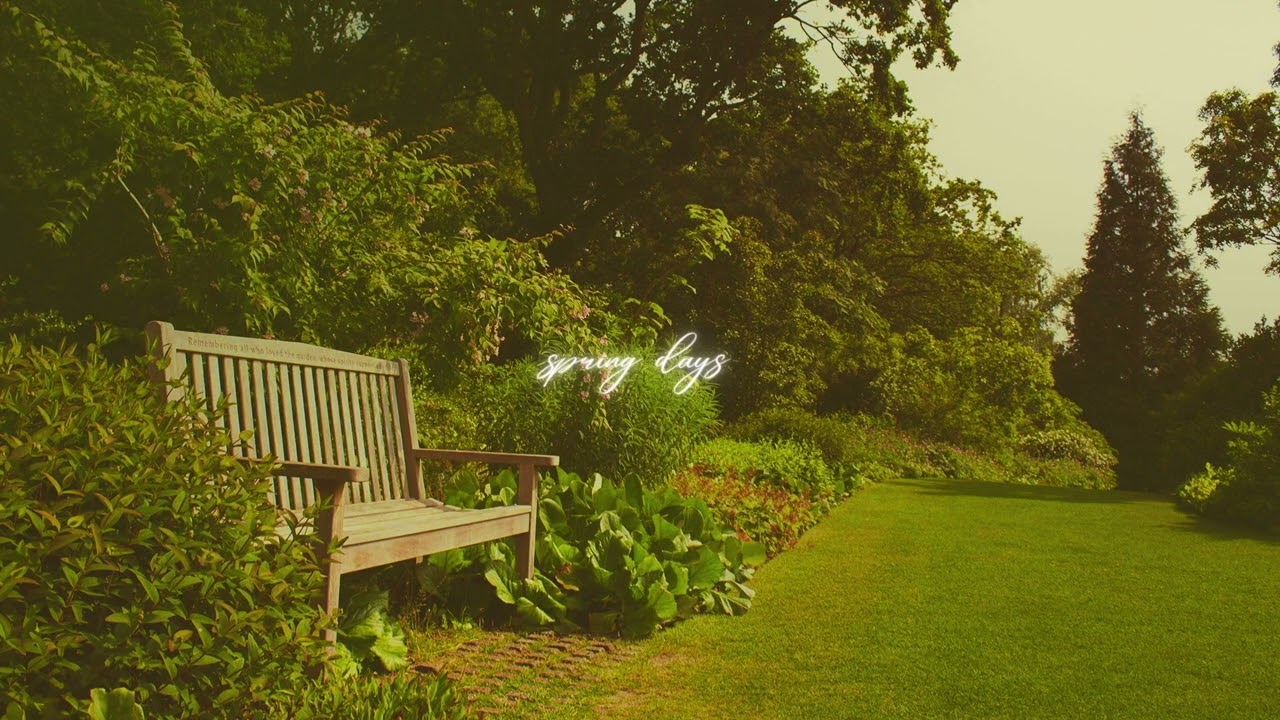 an ethereal instrumental for the first day of spring 🦢☀️