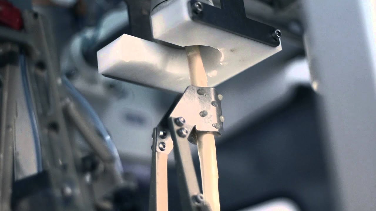 Industriespargelschälmaschine HSM-3000 | HEPRO®