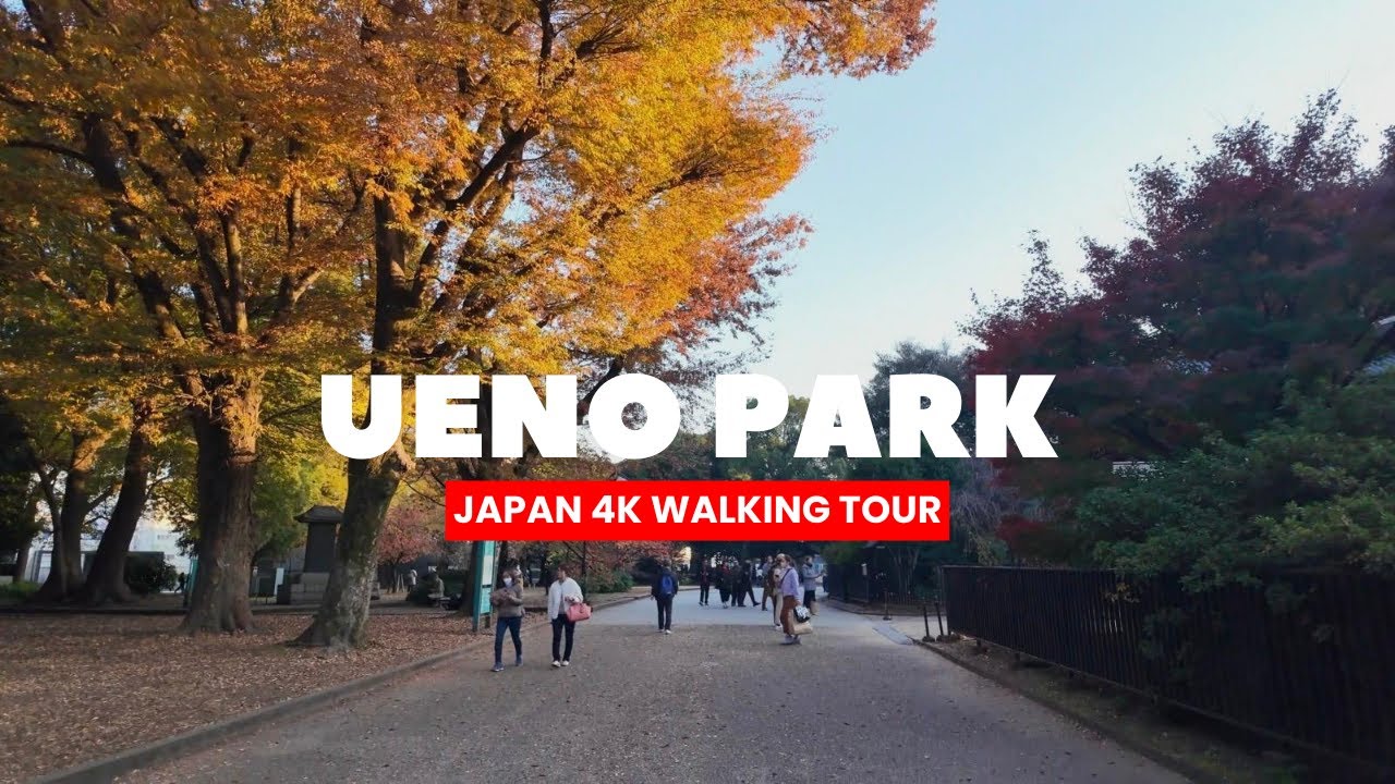 TOKYO, JAPAN Walking Tour | Discover Scenic Ueno Park & Shinobazu Pond - 4K 60FPS