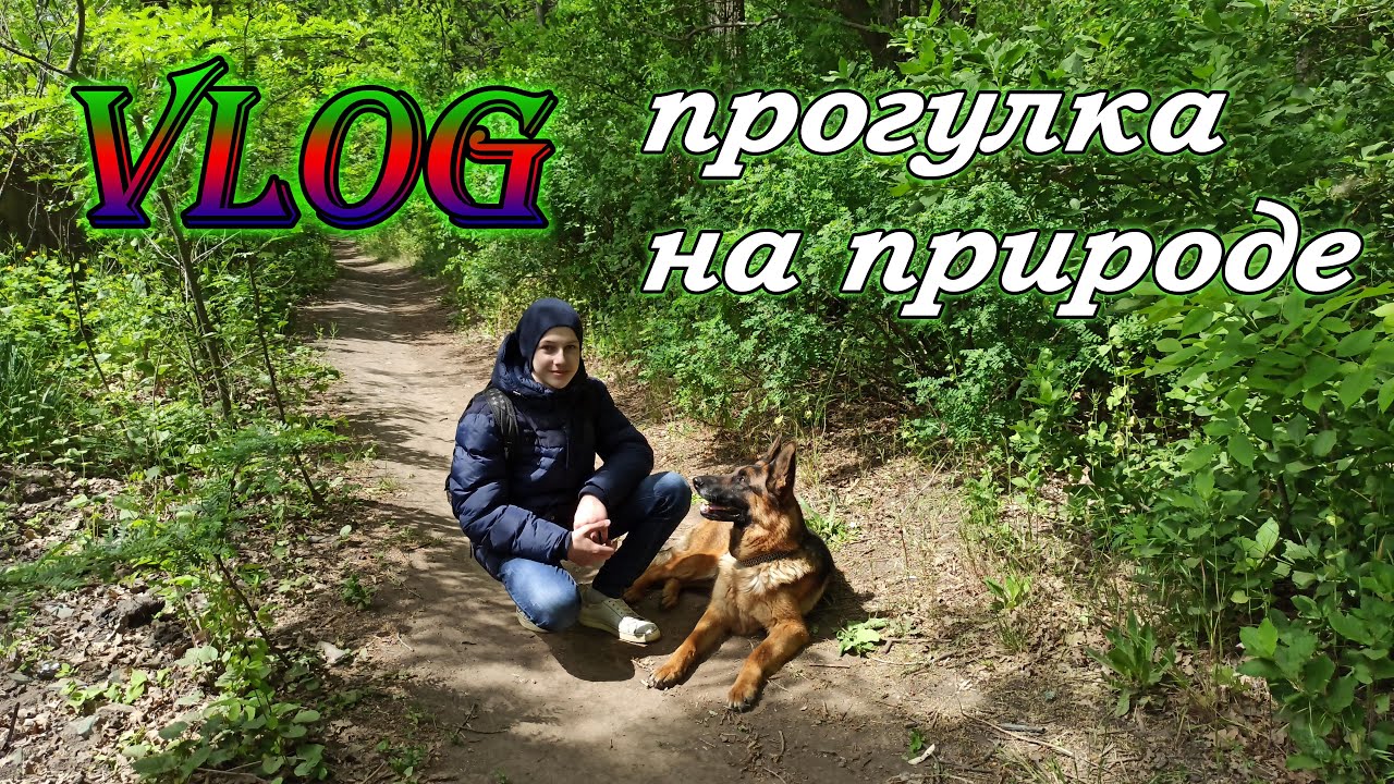 DOG VLOG: Прогулка с собакой на природе. Немецкая овчарка Рема.