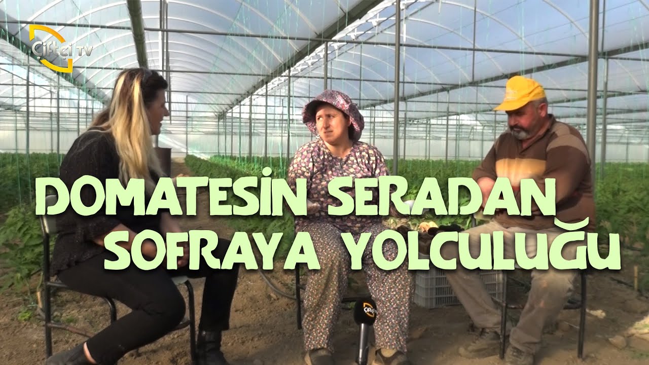 Domatesin Seradan Sofraya Yolculuğu - Anadolu Sevdası