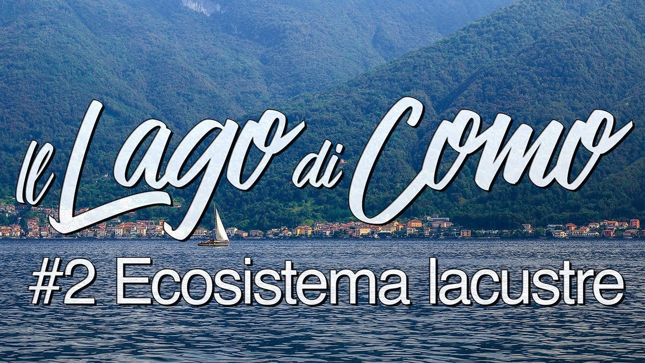 Il Lago di Como #2 - Ecosistema lacustre