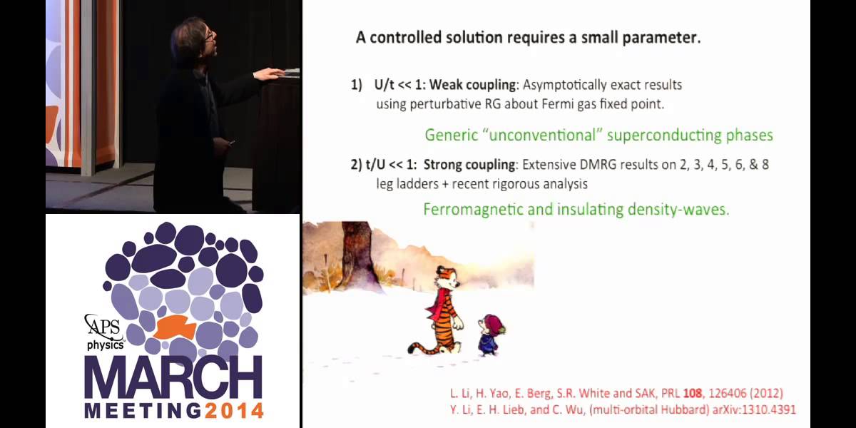 Theoretical Approaches to Correlated Electron Problems