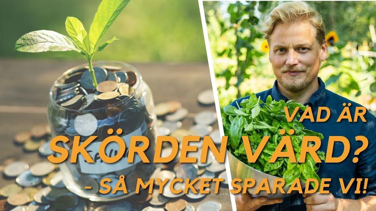 Hur mycket sparade vi p&aring; att odla v&aring;ra egna gr&ouml;nsaker?