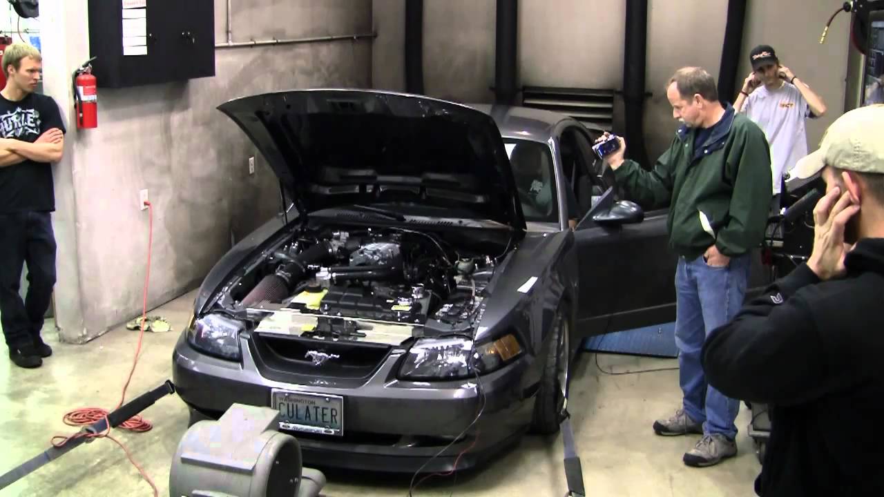 Dyno of 03 Mustang GT with Tork Tech Terminator kit