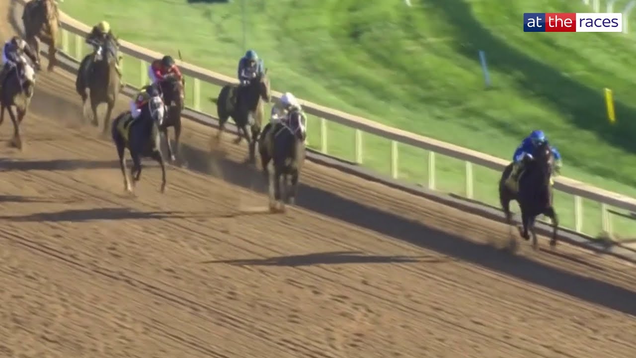 Breeders' Cup next?! | EAST AVENUE destroys all rivals in Claiborne Breeders' Futurity!