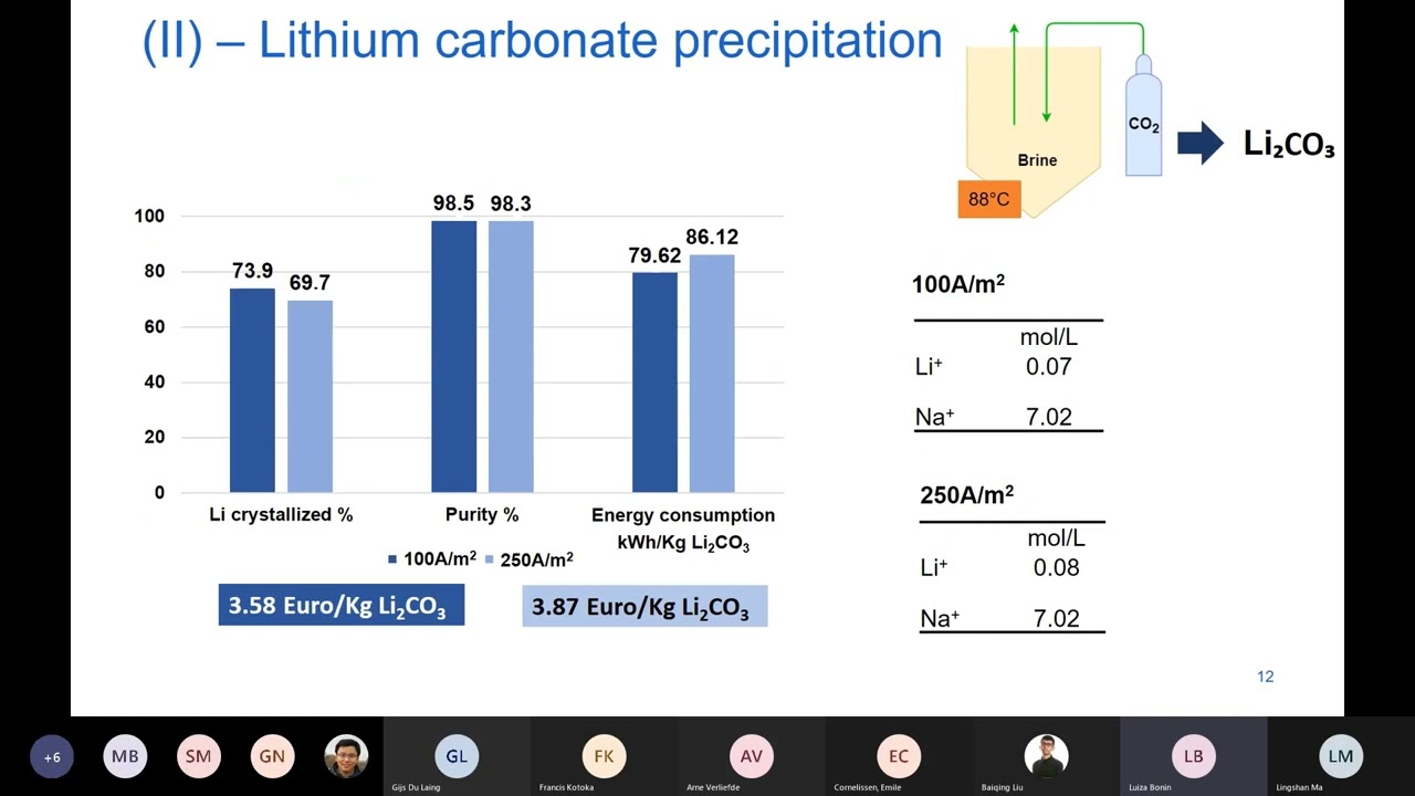 CAPTURE DAYS: Luiza Bonin on lithium and sodium recovery from brines