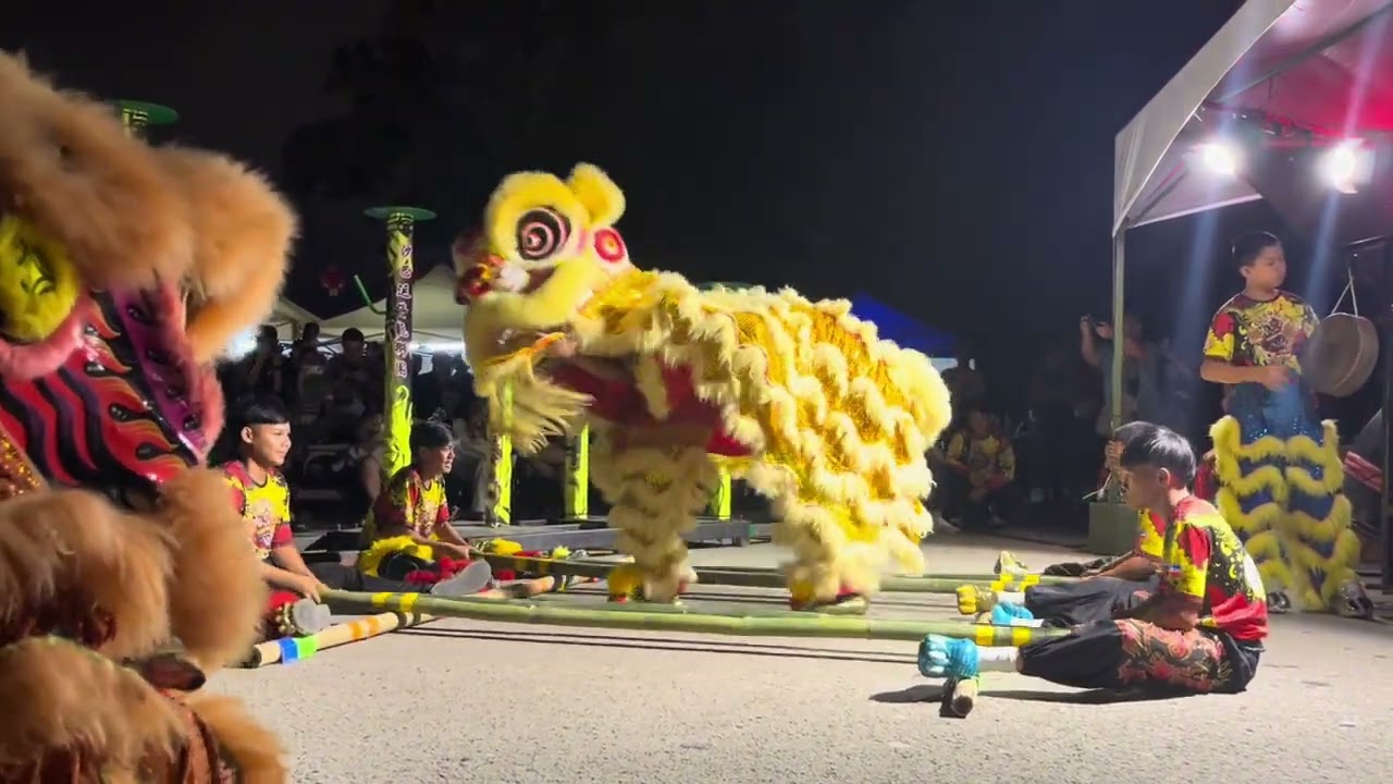 Only In SABAH! Magunatip Sabah Native Traditional Creative Lion Dance #liondance #sabah #magunatip