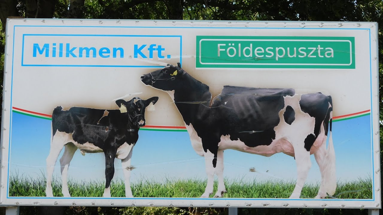 Silózás Földespusztán (2025.08.10.)
