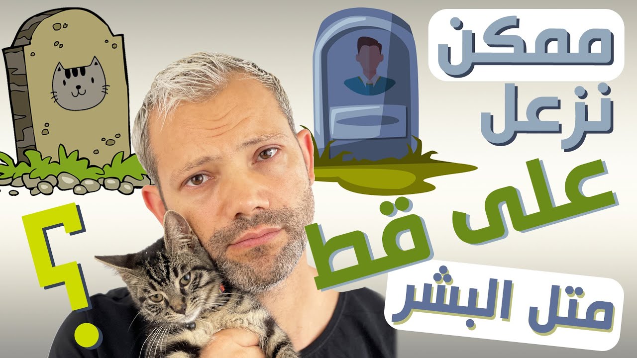 { جنون حب الحيوانات، حب القطط مالو حدود. نار و شوق { العشق الممنوع NO LIMITS FOR MY PETS LOVE