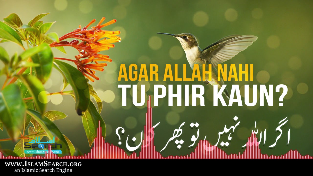 Allah Nahi tu Phir Kaun? || IslamSearch
