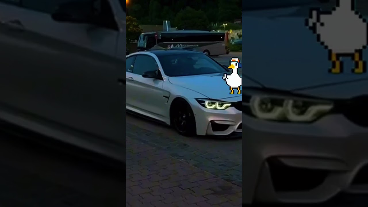 unknown luxury bmw ❤️😮‍💨☠️☠️ 