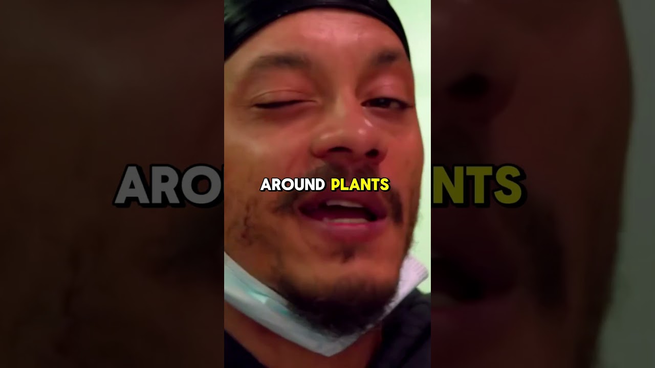 Sublime's Promising New Cannabis Batches! #shorts