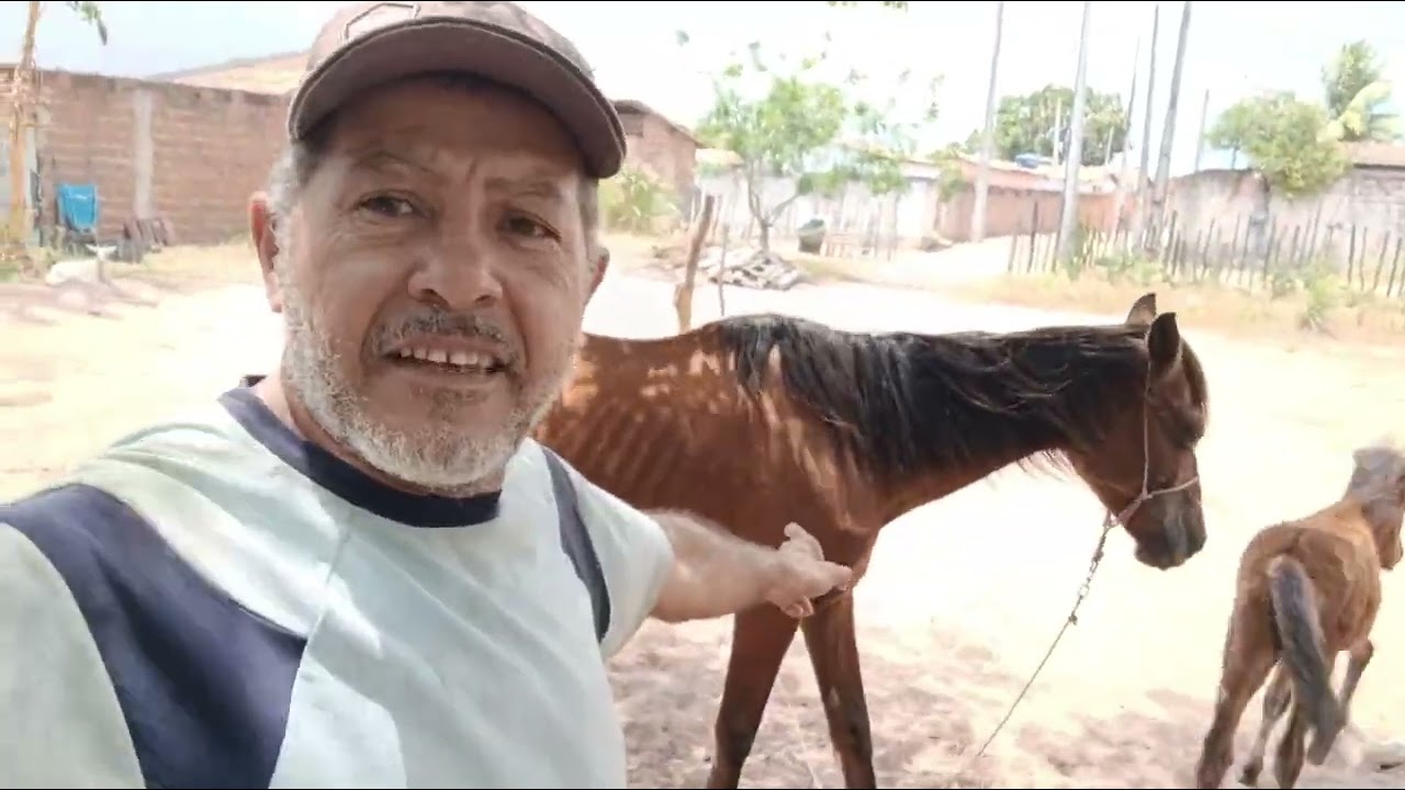 HOJE FAZENDO ENTREGA DE UMAS GALINHAS QUE VENDI