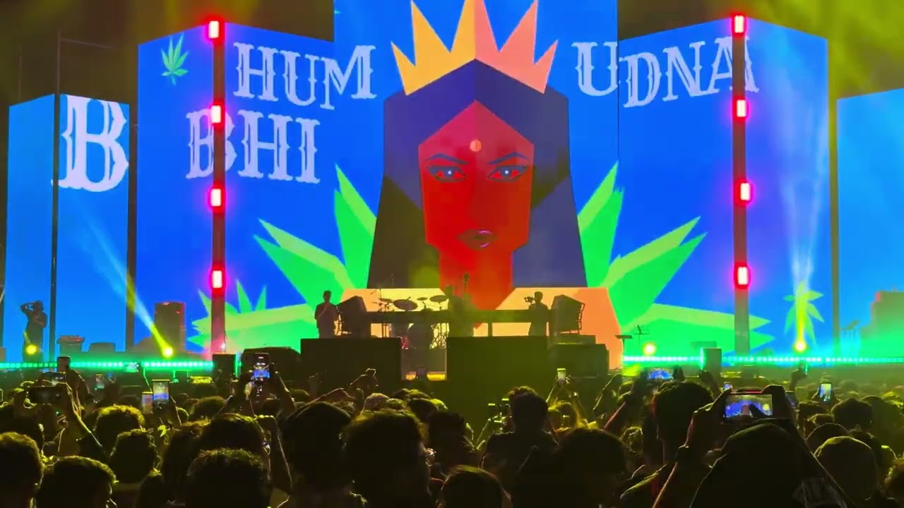 Rider music fest 2026 ||Dj Nucleya concert || #trendingvideo #concert #delhi  #dj 