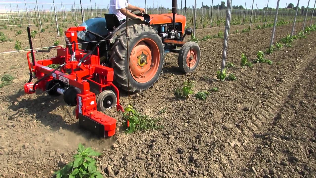 erpice interceppi rotary harrow  inter row per piccoli trattori Cucchi ES