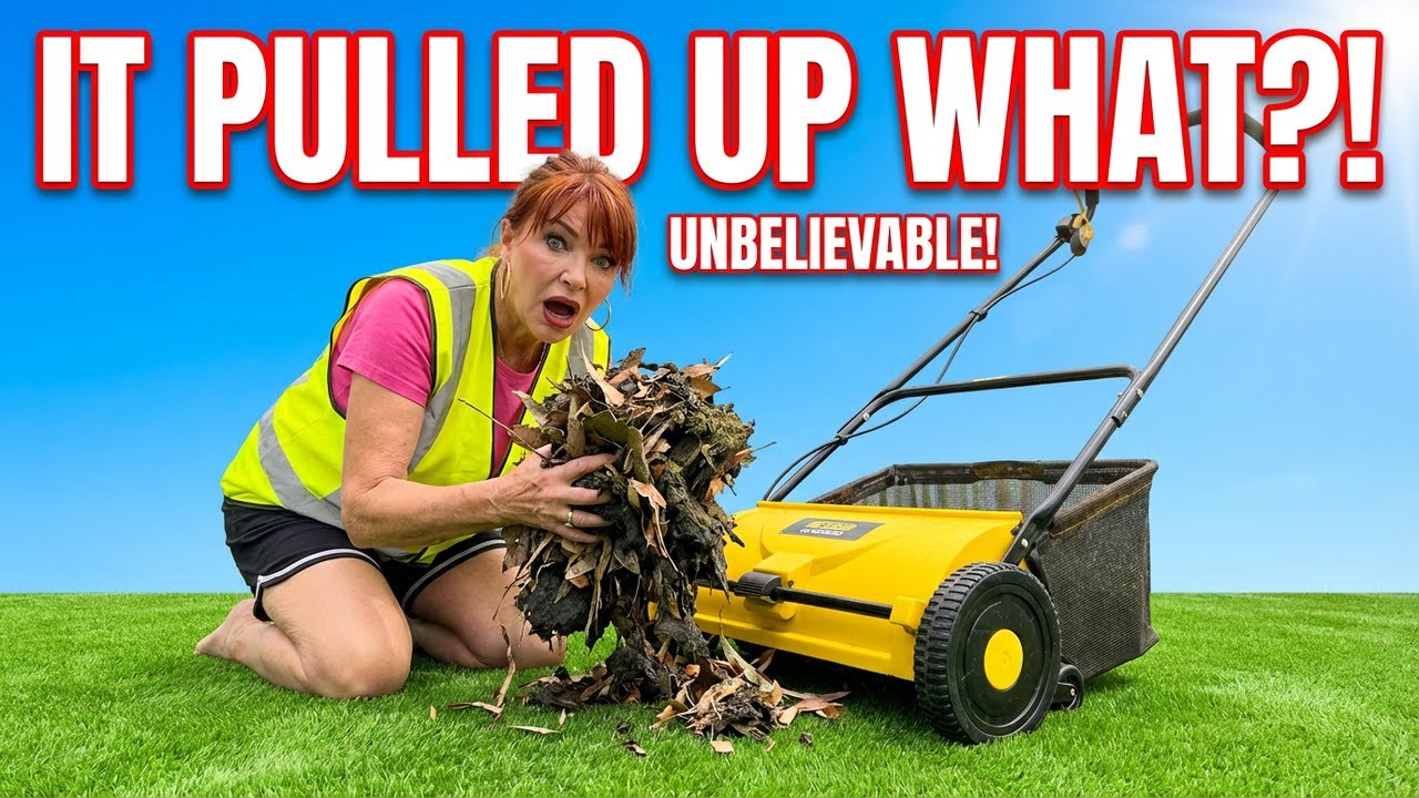 Electric Lawn Sweeper Test – Leaves, Seeds & Bark Removal