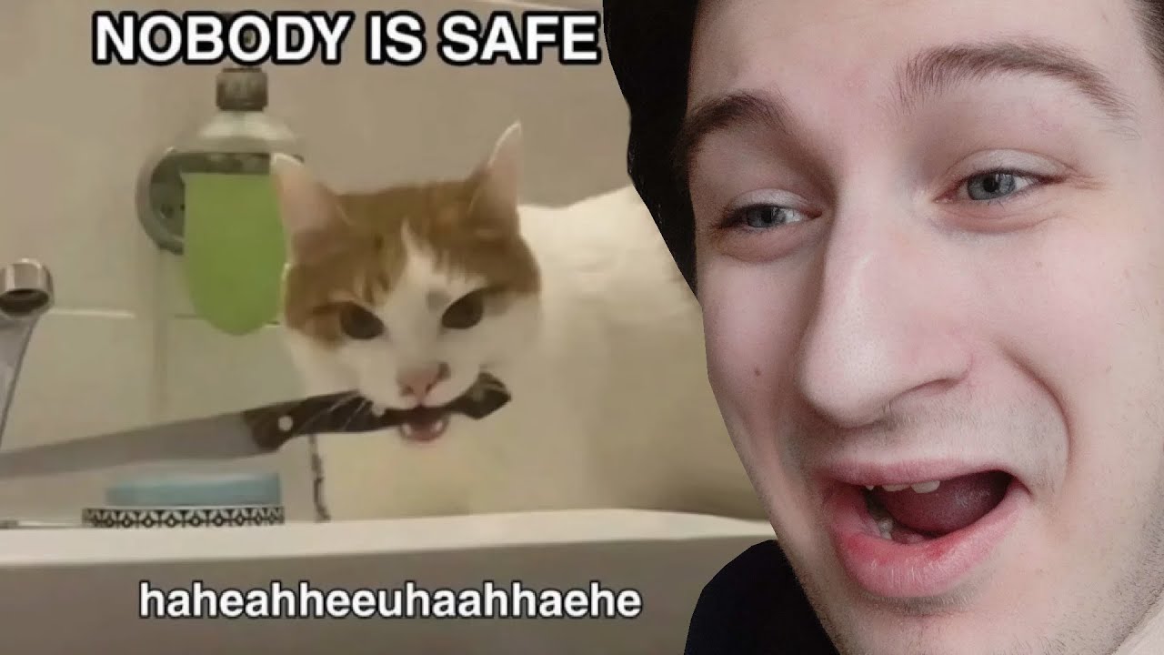 Reviewing your Threatening MEMEs
