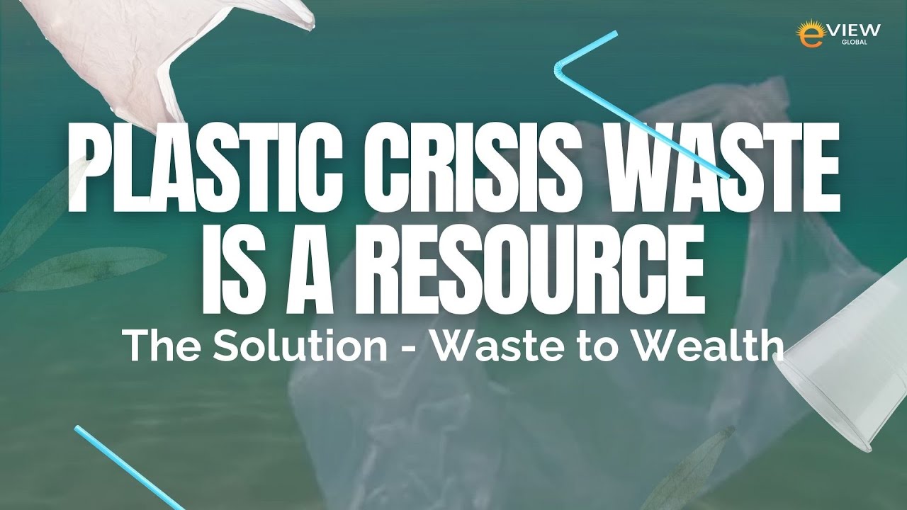 Eview Global: A Single Solution for Two Global Problems | 2025