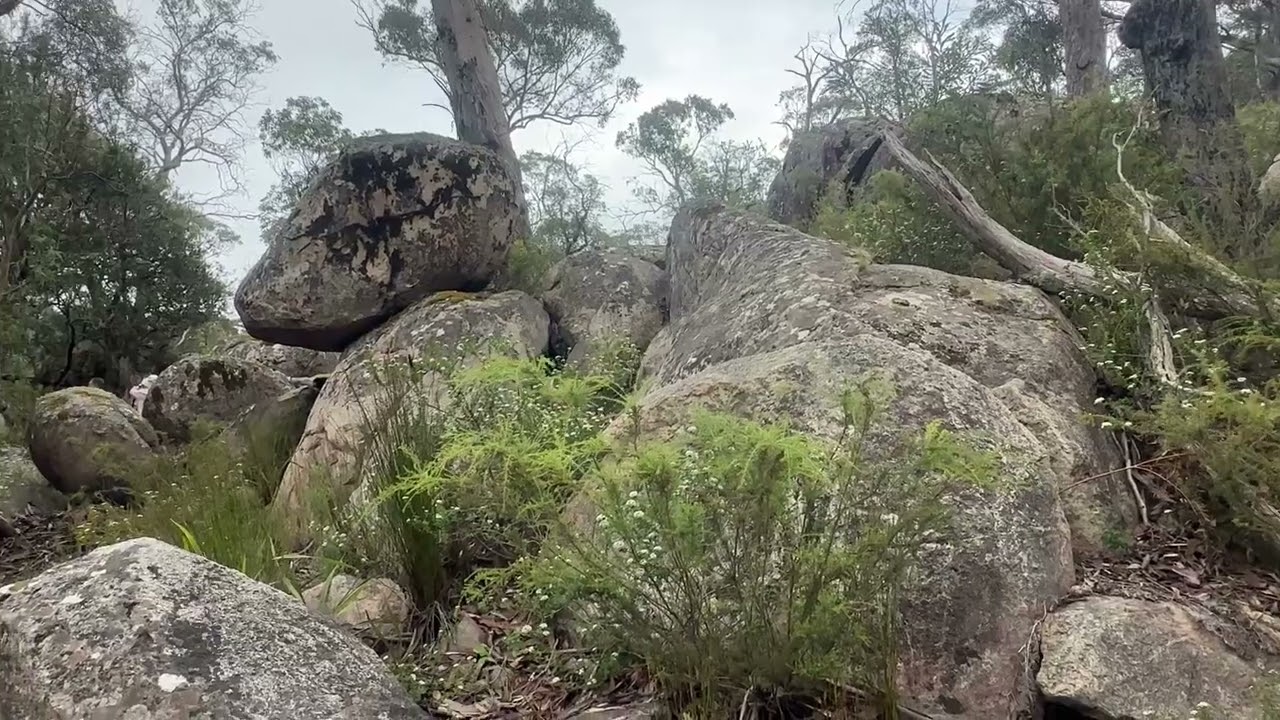 2026Cathedral Rock National Park
