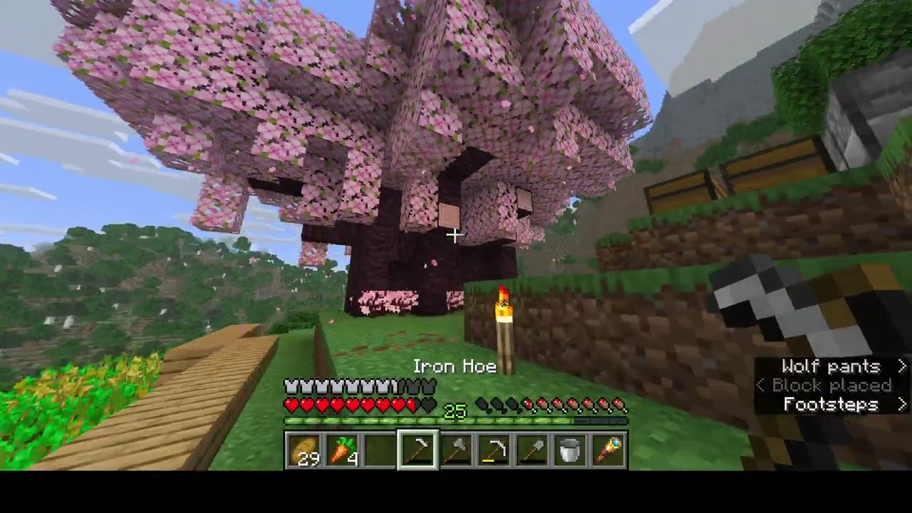 Minecraft Part 10