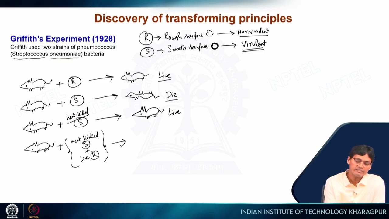 Lecture 2: Discovery of Genetic Material #swayamprabha