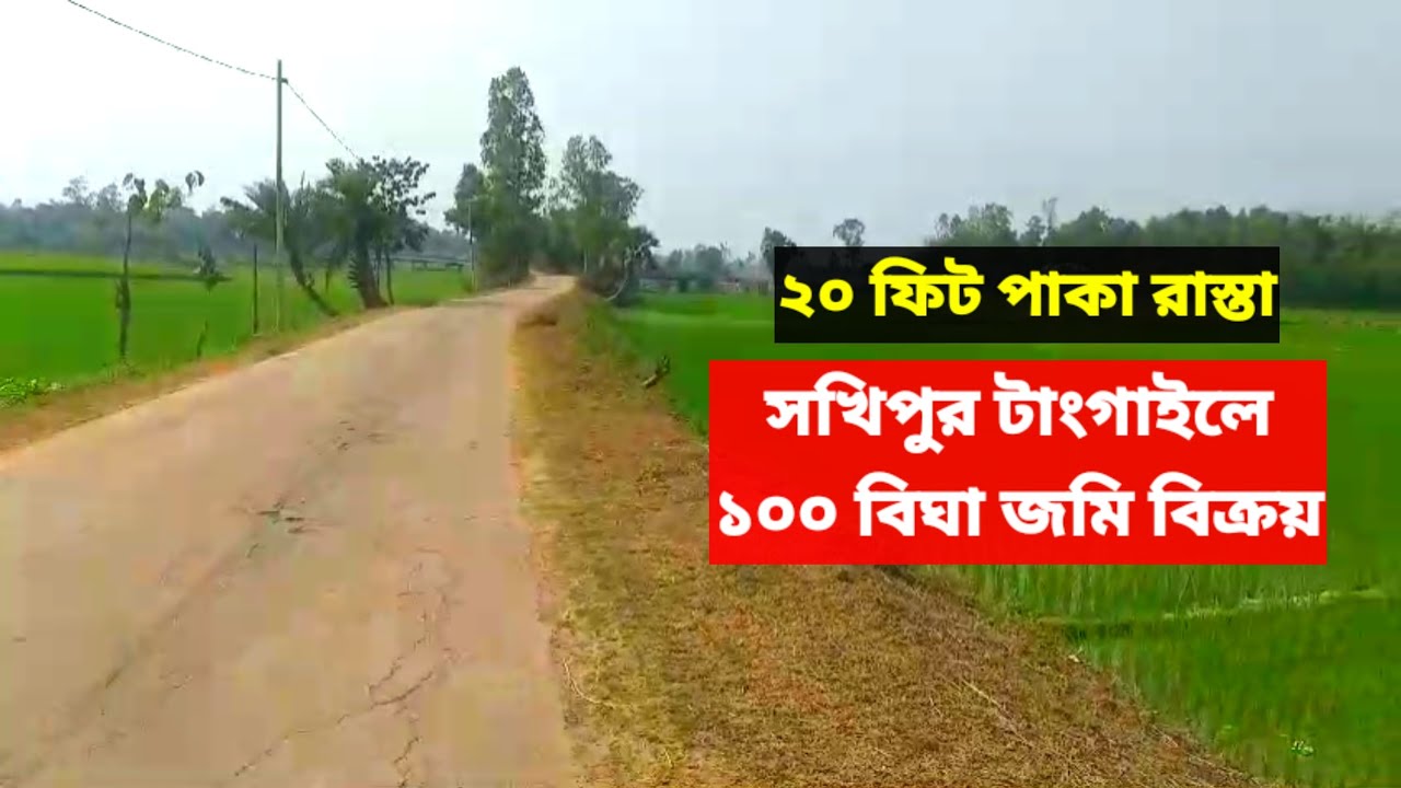 ১০০ বিঘা ফ্যাক্টরি এগ্রো জমি বিক্রয় | ১৩ লাখে | 01912053371 | Low price Land sale Tangail | Jomi