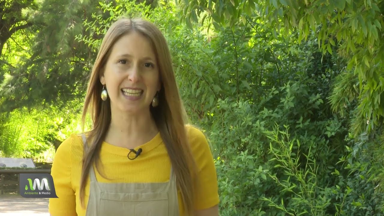 ¿Qué significa ser una empresa B?