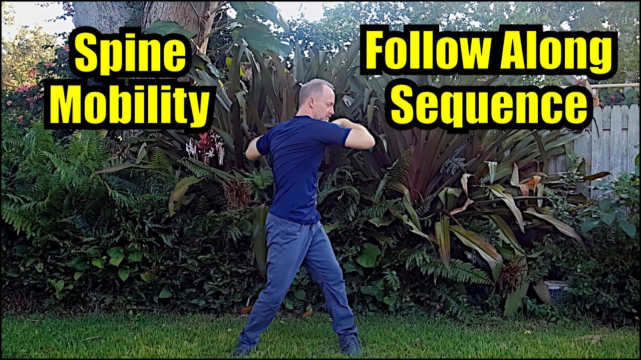 Transform Your Spine: Follow Along Sequence