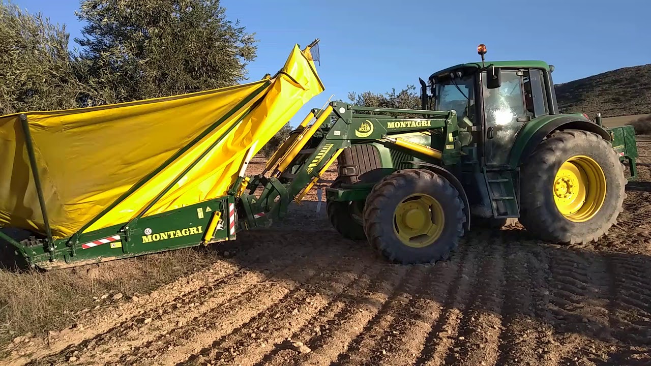 Recolección de aceituna con vibrador y paraguas Montagri