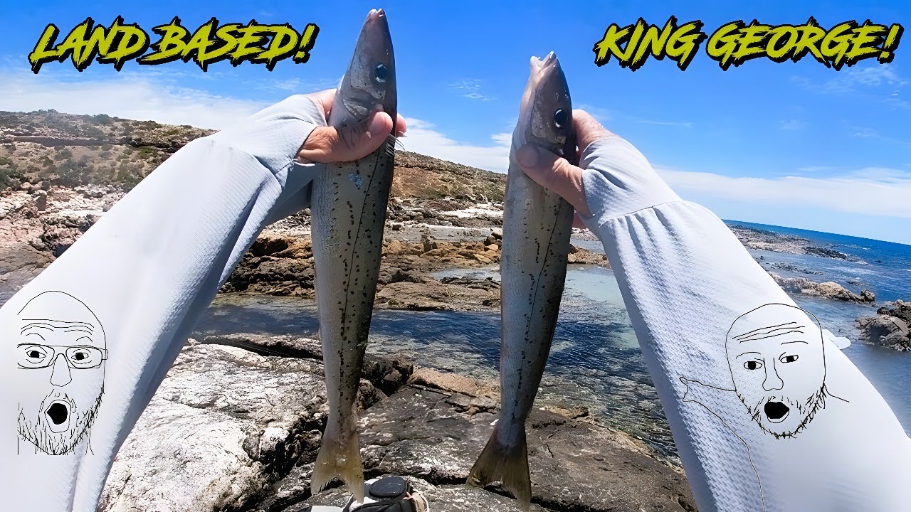 King George From the Rocks and an Afternoon Goliath!