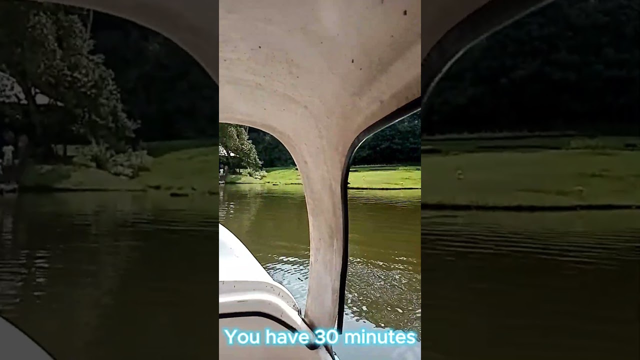 Boat Race