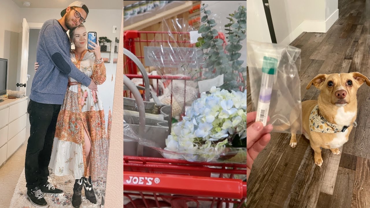 VLOG | Week in My Life | Trader Joe's Grocery Haul, Squirtle's Breed Test, Cook with Me!