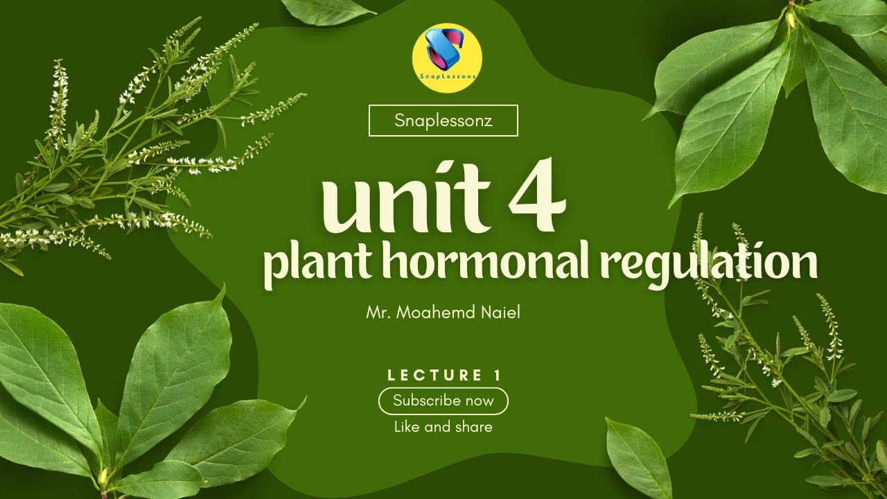12.04.01 | مقدمة وحدة النبات اكتشاف الانتحاء واستهداف الخلايا بواسطة الهرمونات