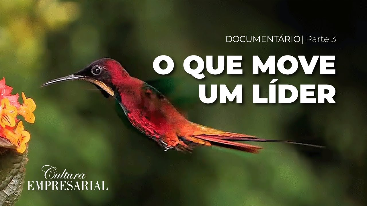 O que move um líder? | Ontopsicologia