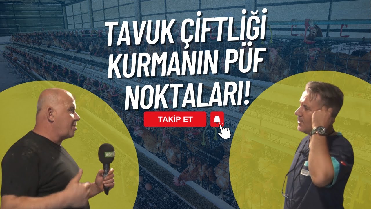 ADANA/CEYHANDA TAVUK YETİŞTİRİCİLİĞİ VE YUMURTA ÜRETİMİ | ADIM ADIM HAYVANCILIK