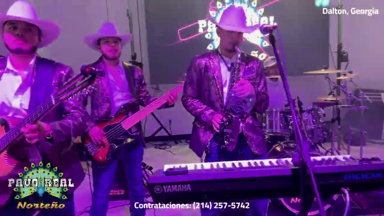 Pavo Real Norteño - Dona Juaña - Dalton, Georgia - 11/1/2025