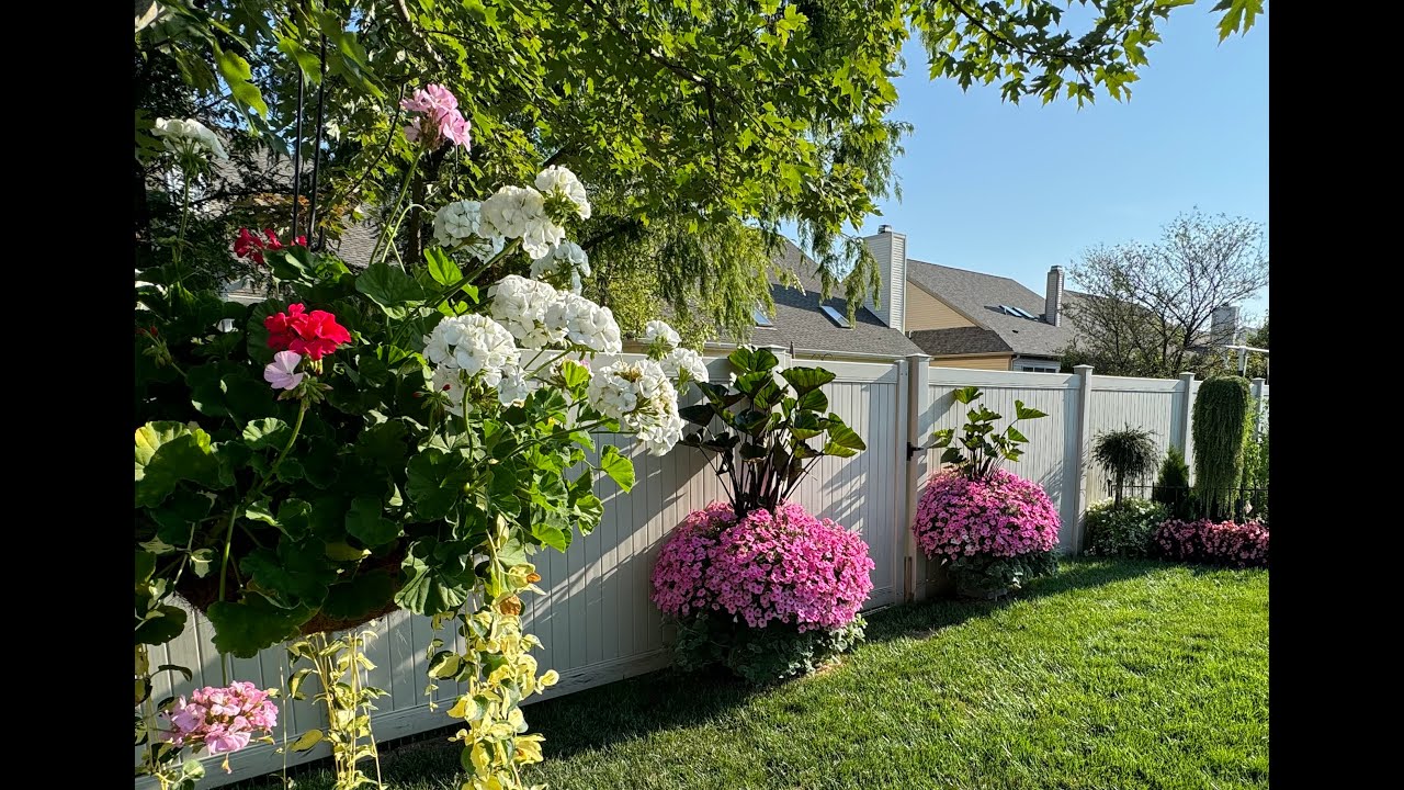 Экскурсия по саду в августе 2024 г.