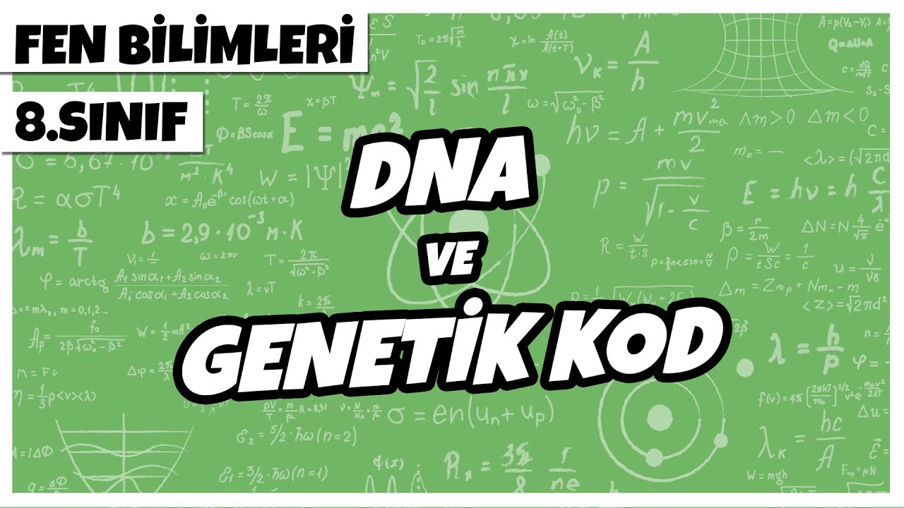 8. Sınıf Fen Bilimleri - DNA ve Genetik Kod | 2022