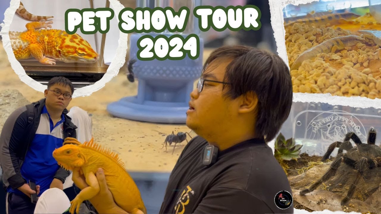 Ngắm nhìn những dòng bò sát và exotic pet tại Tuần lễ sinh vật cảnh TPHCM/ Pet show tour 2024