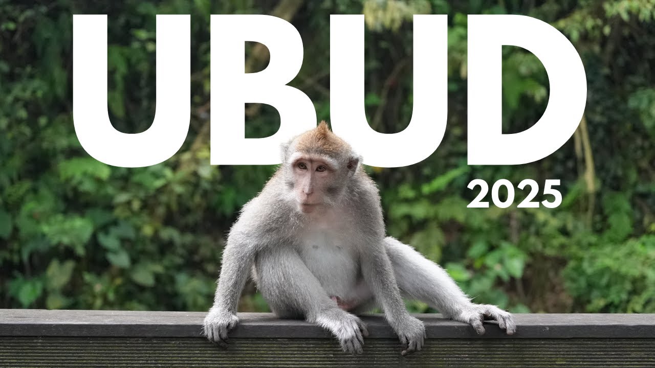 ASÍ es la VIDA en UBUD en 2025 | BALI