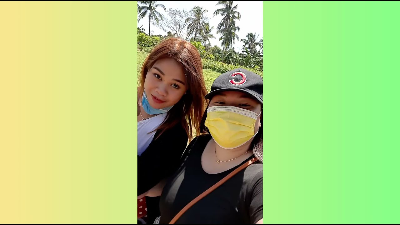 EMV SUNFLOWER FARM