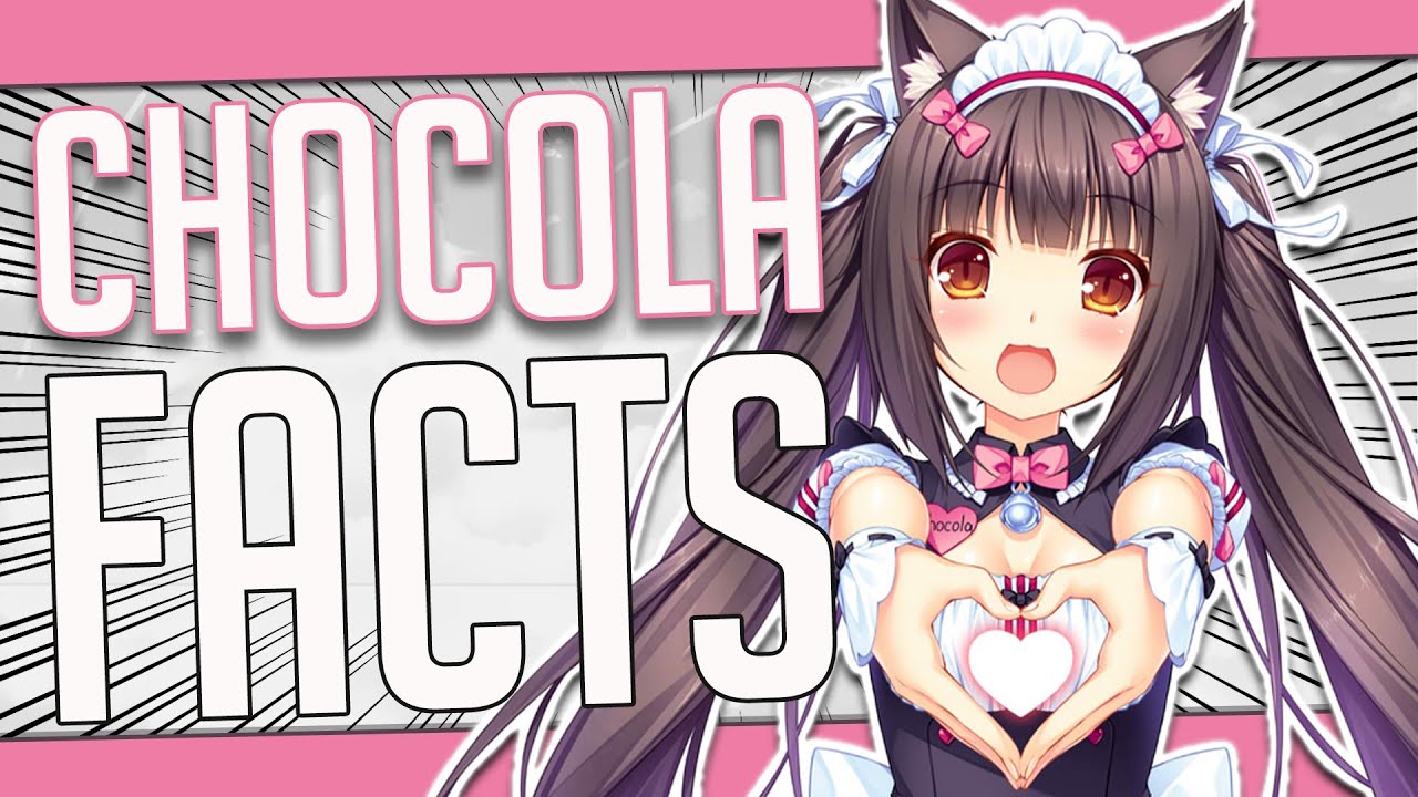 5 Facts About Chocola - Nekopara